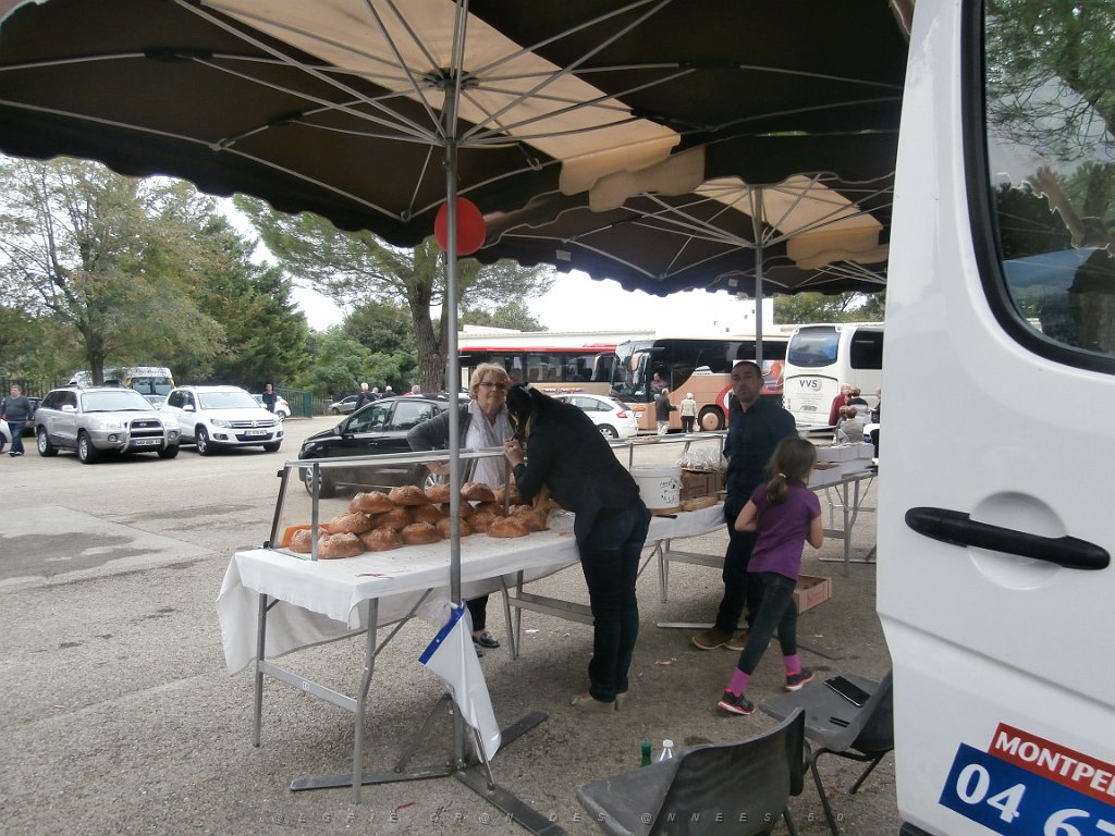 2015 10 03 et 04 NIMES LES RENCONTRES DE LA MARINE (24).JPG